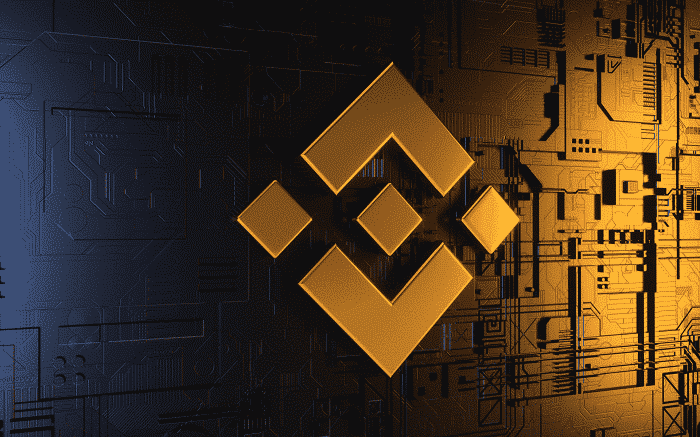 Binance Chinese Investment