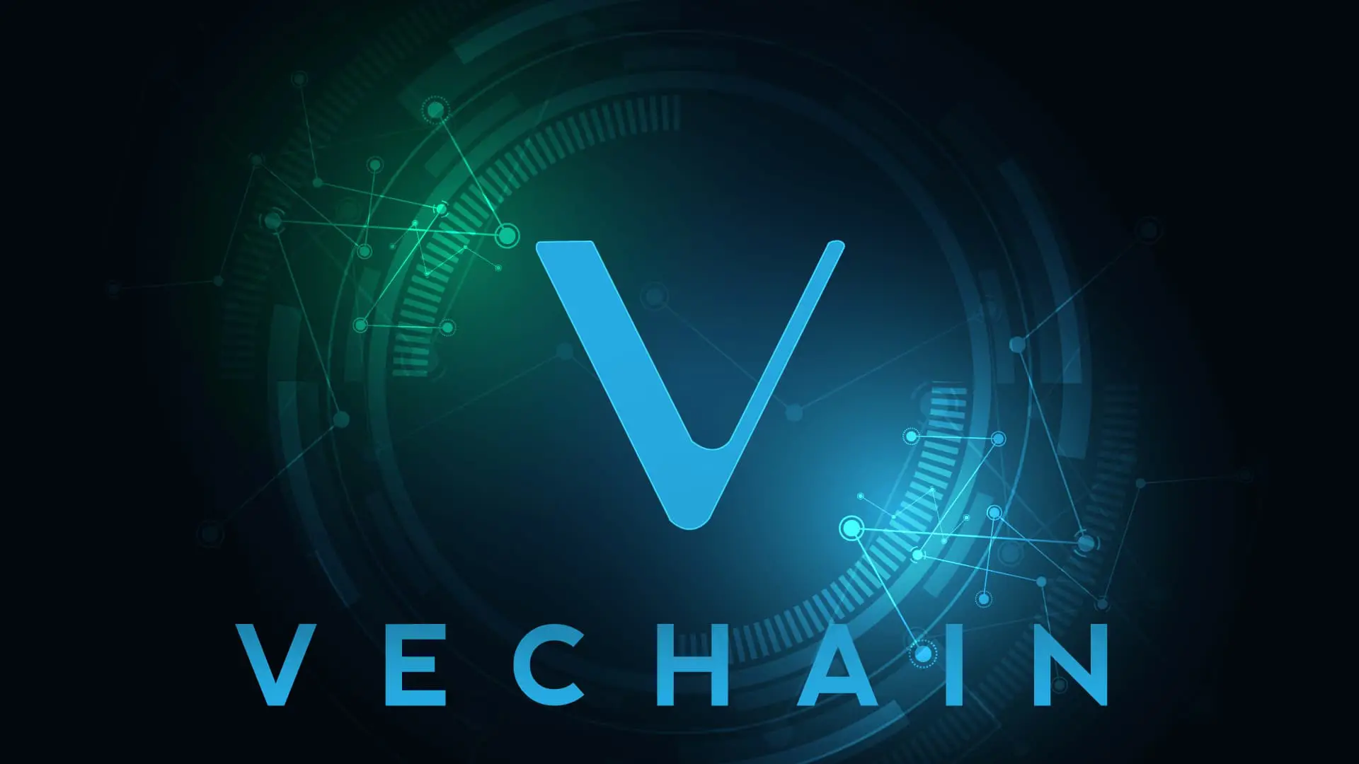 Vechain Is Contributing to Social Services
