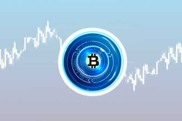 Key Dynamics to Bitcoin Price Fluctuations